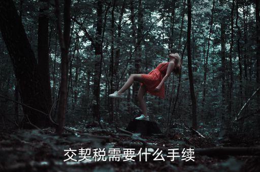 交契稅需要什么手續(xù)