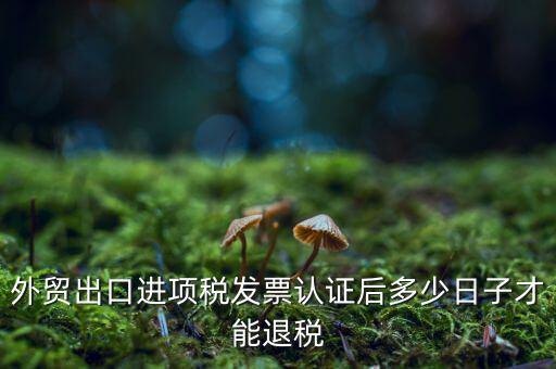 什么時候可以退稅，退稅是按進(jìn)項(xiàng)發(fā)票認(rèn)證的時間來退稅的
