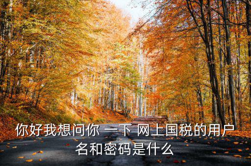 國稅登陸名和密碼是什么意思，國稅第一次網(wǎng)上申報的登陸密碼是什么
