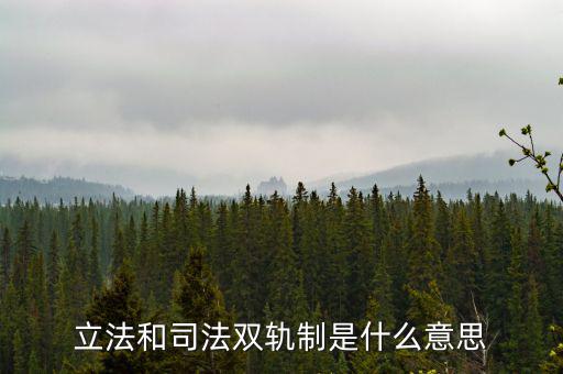 雙軌運(yùn)行什么意思，雙軌運(yùn)行解數(shù)字