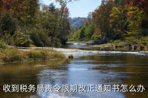 收到稅務(wù)局責(zé)令限期改正通知書(shū)怎么辦