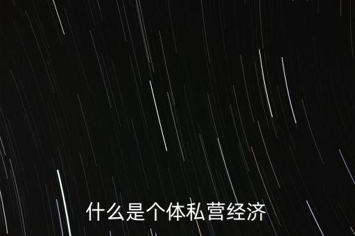 什么是個(gè)體私營(yíng)經(jīng)濟(jì)