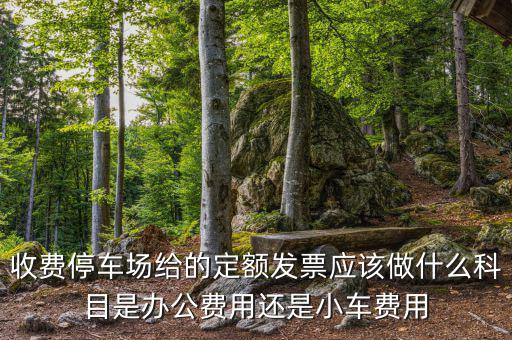 收費停車場給的定額發(fā)票應該做什么科目是辦公費用還是小車費用