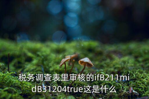 國稅調(diào)查表有什么意義，國稅要求地址普查的目的是什么