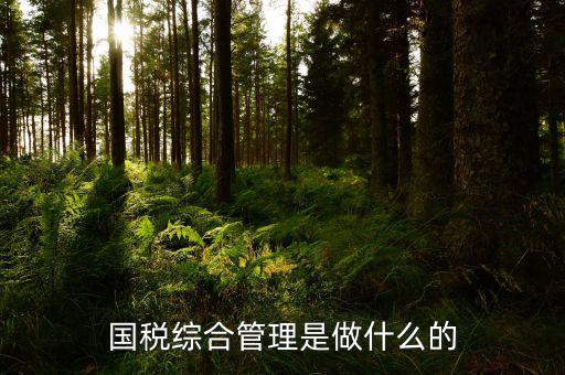 國(guó)稅綜合業(yè)務(wù)是什么，國(guó)稅綜合管理是做什么的