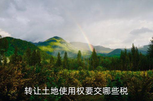 轉讓土地使用權要交什么稅，轉讓土地使用權要交哪些稅