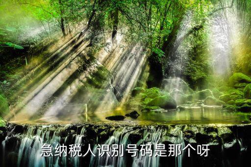 納稅人識別卡是什么，一般納稅人的IC卡的型號中JK100和JK300有什么區(qū)別