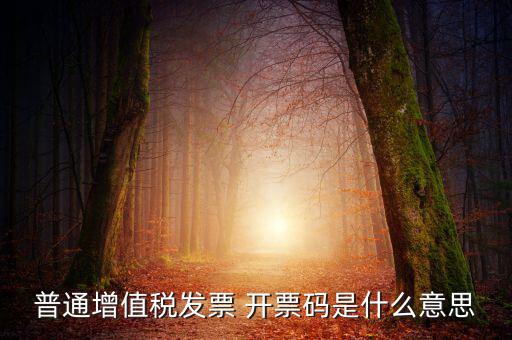 普通增值稅發(fā)票 開(kāi)票碼是什么意思