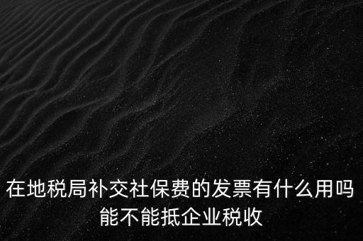 什么稅票能抵消社保費(fèi)用，輪渡費(fèi)后面有一張保險(xiǎn)發(fā)票是可以抵扣的