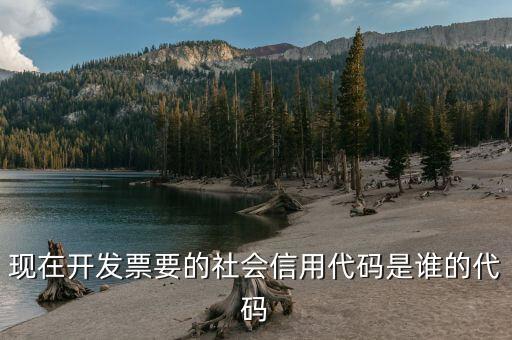 發(fā)票上有社會信用代碼是什么，現(xiàn)在開發(fā)票要的社會信用代碼是誰的代碼