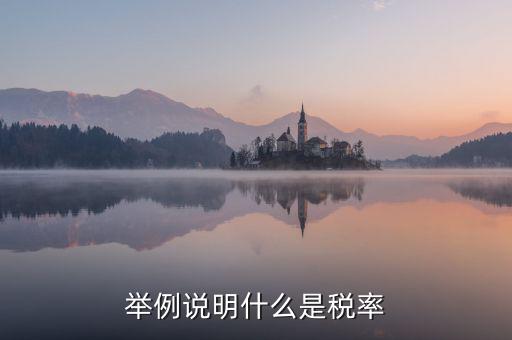 稅率說明是什么意思，稅率是什么意思