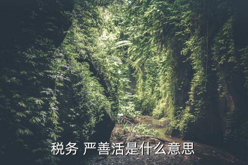 中國稅務(wù)精神是什么意思，稅務(wù)是什么意思啊學(xué)什么內(nèi)容