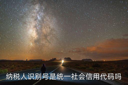 納稅人識(shí)別號(hào) 社會(huì)統(tǒng)一信用代碼是什么意思，納稅人識(shí)別號(hào)就是統(tǒng)一社會(huì)信用代碼嗎