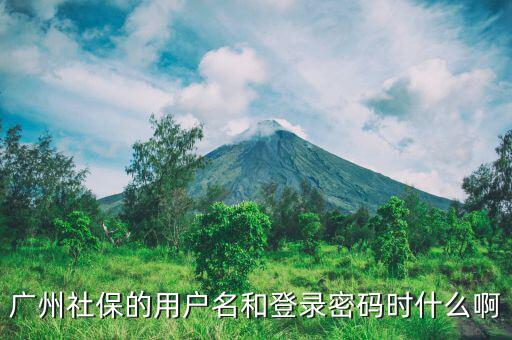 地稅社保用戶(hù)名是什么，南京這邊可以國(guó)稅扣稅款一個(gè)賬號(hào)基本戶(hù)地稅扣款比如社保