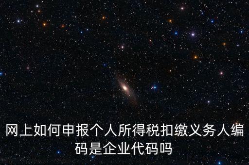 網(wǎng)上如何申報(bào)個人所得稅扣繳義務(wù)人編碼是企業(yè)代碼嗎