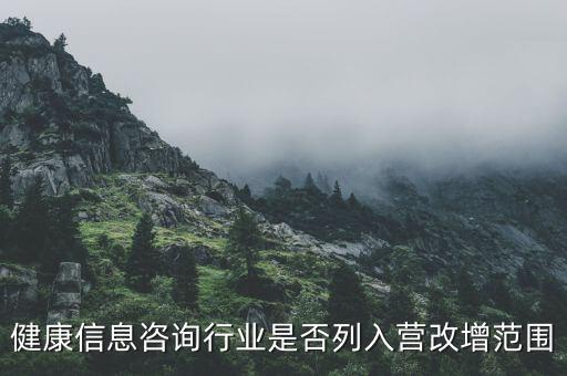 什么時候什么營改增的，營改增的會計范圍及會計處理