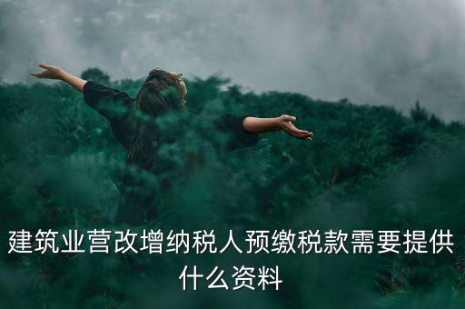 預(yù)繳稅款要什么資料，到國(guó)稅局預(yù)交稅款需要帶什么東西