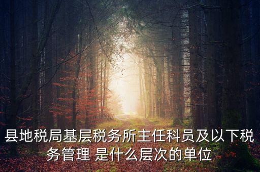 地稅局主任干什么，在地稅局工作寫材料具體是怎么工作