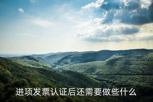 核定發(fā)票后發(fā)行后還坐什么，認(rèn)證完發(fā)票在干什么