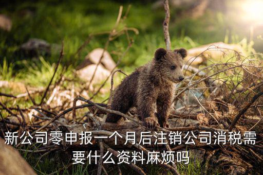 注銷稅盤需要什么資料，新公司零申報一個月后注銷公司消稅需要什么資料麻煩嗎