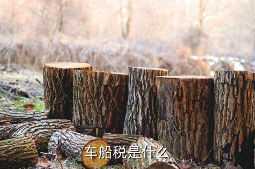 保險的車船稅是什么意思，車船稅是什么