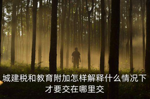 什么時(shí)候有教育費(fèi)附加，子女教育專項(xiàng)附加扣除的起始時(shí)間