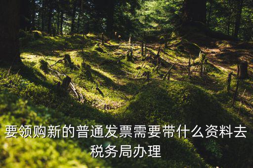 發(fā)票領(lǐng)購本需要帶什么，去國稅局報稅需要發(fā)票領(lǐng)購簿嗎都需要帶什么大神們幫幫忙