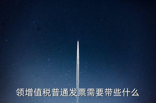 領增值稅普通發(fā)票需要帶些什么