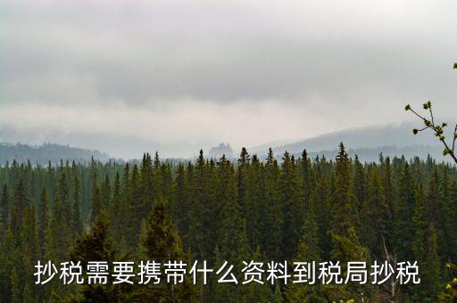 報稅查什么輔導(dǎo)信息，剛申請為一般納稅人在哪查看是否要經(jīng)過輔導(dǎo)期納稅申報初始化填5