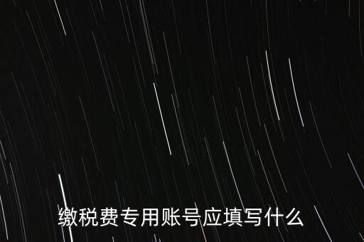 繳稅費專用賬號應填寫什么
