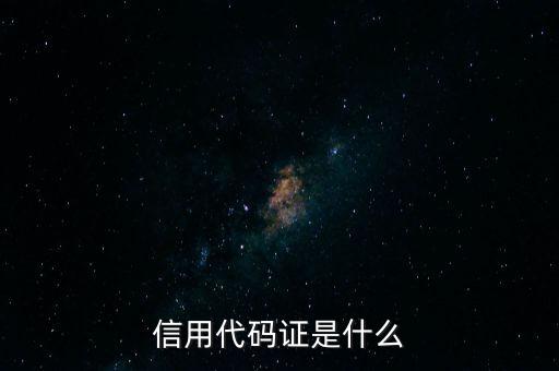 信用代碼號(hào)是什么情況，信用代碼證是什么