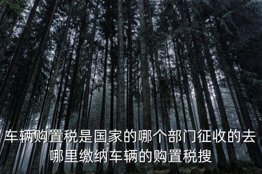 車(chē)輛購(gòu)置稅是國(guó)家的哪個(gè)部門(mén)征收的去哪里繳納車(chē)輛的購(gòu)置稅搜