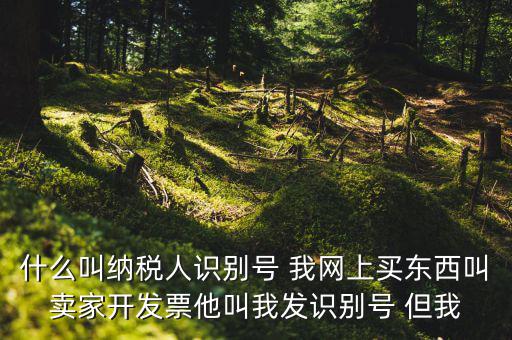 公司納稅識別號是什么意思，納稅人識別碼是什么