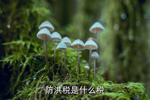 什么防洪稅，水利工程建設(shè)防洪工程應(yīng)交什么稅