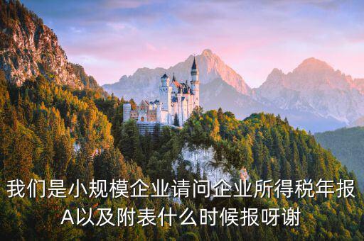 所得稅年報(bào)填什么時(shí)間，企業(yè)所得稅年報(bào)什么時(shí)候報(bào)