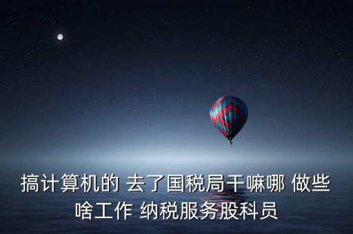 納服科是什么，搞計算機的 去了國稅局干嘛哪 做些啥工作 納稅服務股科員