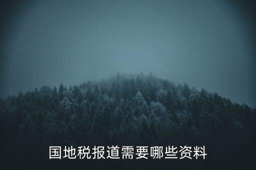 國(guó)地稅報(bào)道需要哪些資料