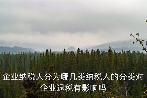 什么A級(jí)B級(jí)信用納稅人，A級(jí)增值稅一般納稅人C級(jí)增值稅一般納稅