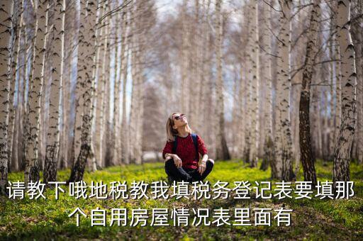 請教下哦地稅教我填稅務登記表要填那個自用房屋情況表里面有