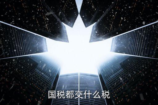 國(guó)稅稅款是什么，國(guó)稅都交什么稅