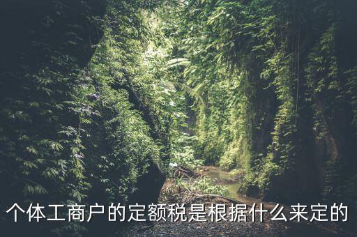個(gè)體工商戶(hù)的定額稅是根據(jù)什么來(lái)定的