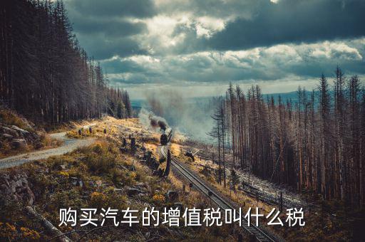 什么是汽車增值稅，什么是汽車增值稅