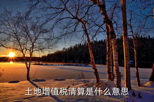 土地增值稅納稅清算什么意思，土地增值稅清算