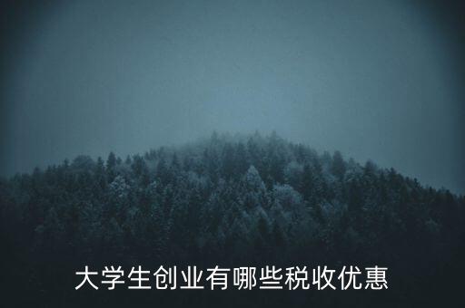 學校有什么稅收優(yōu)惠，大學生創(chuàng)業(yè)有哪些稅收優(yōu)惠