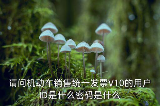 發(fā)票登錄密碼是什么，國稅局發(fā)票軟件里用戶代碼和密碼是什么