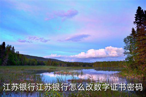 如何改數(shù)字證書(shū)密碼是什么意思，建行重新申請(qǐng)數(shù)字證書(shū)之后的登陸密碼是什么