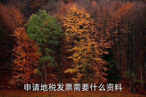 地稅局開票需要帶什么，申請地稅發(fā)票需要什么資料