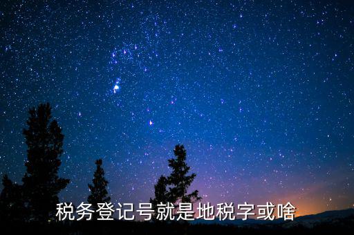 國(guó)稅地稅登記號(hào)是什么意思，稅務(wù)登記號(hào)就是地稅字或啥