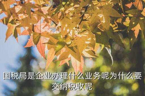 國稅局辦理什么業(yè)務(wù)，國稅局是企業(yè)辦理什么業(yè)務(wù)呢為什么要交納稅收呢