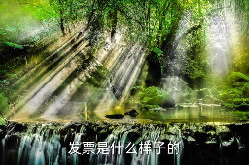 普票是什么樣子，發(fā)票是什么樣子的